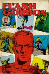 Imagem de FLASH GORDON Nº 7