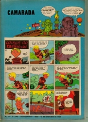 Imagem de CAMARADA 2º ANO Nº 19