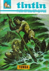 Imagem de TINTIN 13º ANO - Nº 11