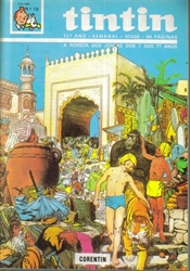 Imagem de TINTIN 13º ANO - Nº 19