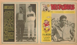 Imagem de O PAJEM Nº 243