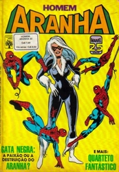 Imagem de HOMEM ARANHA Nº 33