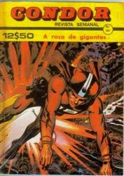 Imagem de  CONDOR Nº 391