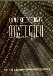 Imagem de COMO SELECCIONAR O MILHO