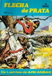 Imagem de FLECHA DE PRATA Nº 13