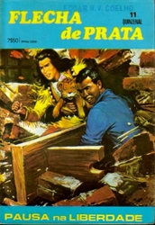 Imagem de  FLECHA DE PRATA Nº 11