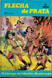 Imagem de  FLECHA DE PRATA Nº 15