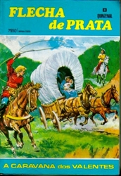 Imagem de  FLECHA DE PRATA Nº 08