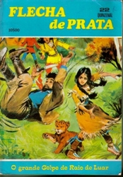 Imagem de FLECHA DE PRATA Nº 22