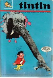 Imagem de  TINTIN 1º ANO - Nº 49