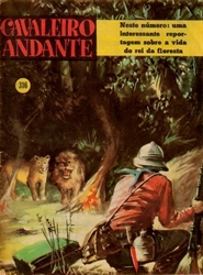 Imagem de CAVALEIRO ANDANTE Nº 316