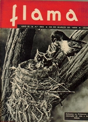 Imagem de  Revista Flama n.º 263