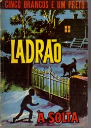 Imagem de LADRÃO À SOLTA