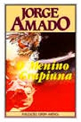 Imagem de O menino grapiúna