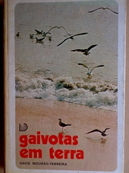 Imagem de GAIVOTAS EM TERRA