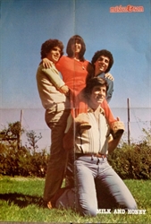 Imagem de MILK AND HONEY