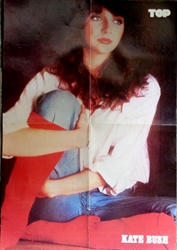 Imagem de KATE BUSH