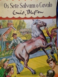 Imagem de OS SETE SALVAM O CAVALO - Nº 15