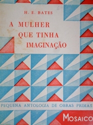 Imagem de 69 - A MULHER QUE TINHA IMAGINAÇÃO