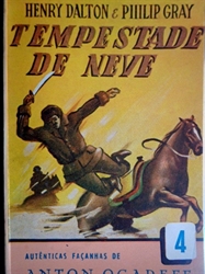 Imagem de TEMPESTADE DE NEVE