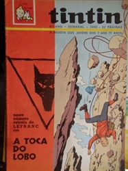 Imagem de  TINTIN 4º ANO - Nº 41
