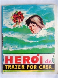 Imagem de HEROI DE TRAZER POR CASA - 135