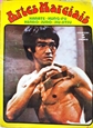 Imagem de Artes marciais 