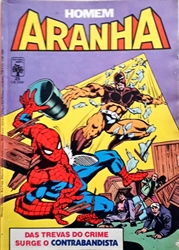 Imagem de   HOMEM ARANHA Nº 25
