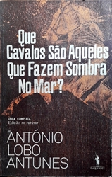 Imagem de Que cavalos sao aqueles que fazem sombra no mar?