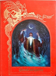 Imagem de Wizards and Witches (The Enchanted World Series