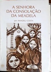Imagem de A senhora da consolação da Meadela