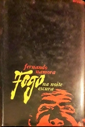 Imagem de Fogo na noite escura