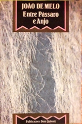 Imagem de Entre pássaro e Anjo