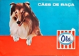 Imagem de Cães de raça 